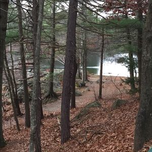 Meet your Posher, Sharon